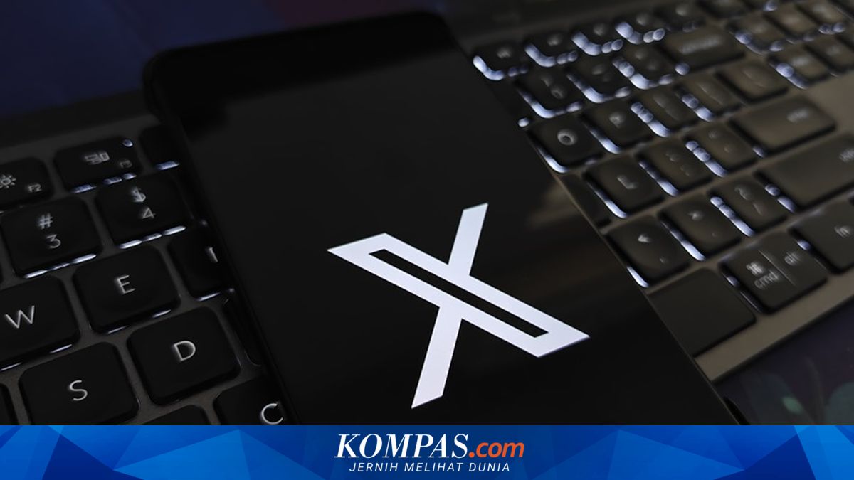 PP Tunas in Effect: I Registered an X Account with Age Under 16, It Got Locked Immediately