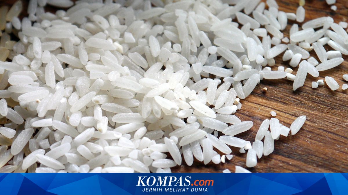 Low Rice Production in Sikka, 37,000-Ton Demand Still Relies on External Supplies