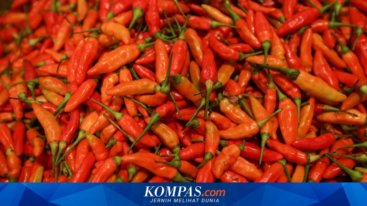 Post-Eid, Red Bird's Eye Chilli Prices in Central Java Reach Rp 70,000 per Kg