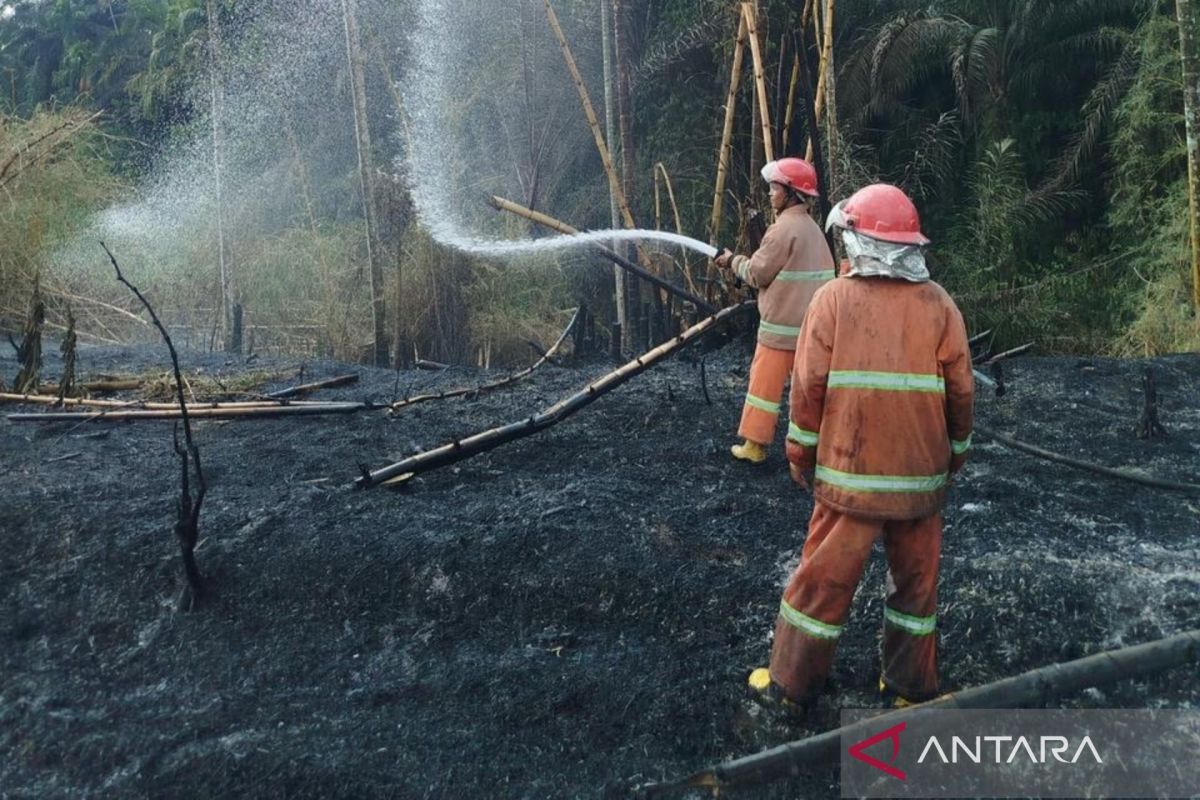 Besides Riau, BNPB Reports Forest and Land Fires Also Occurring in Simalungun, North Sumatra