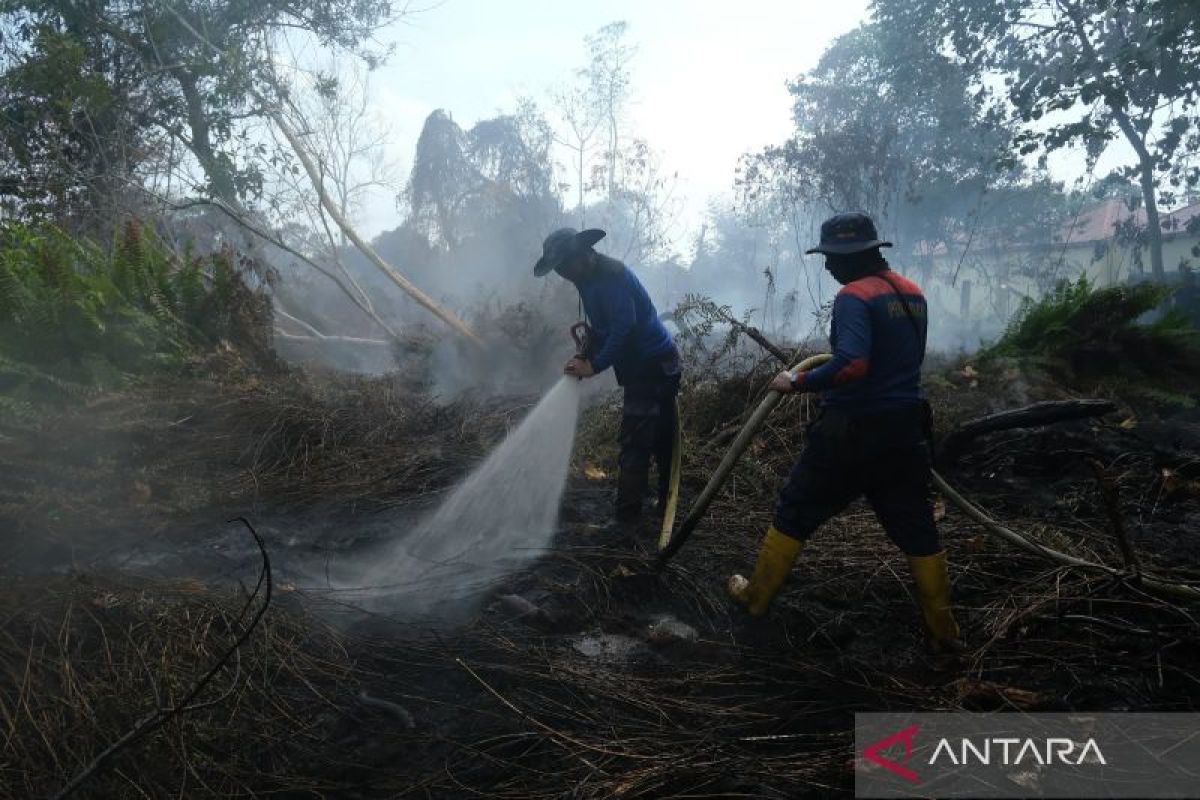 West Kalimantan BPBD Implements Land Wetting Programme to Prevent Forest and Land Fires