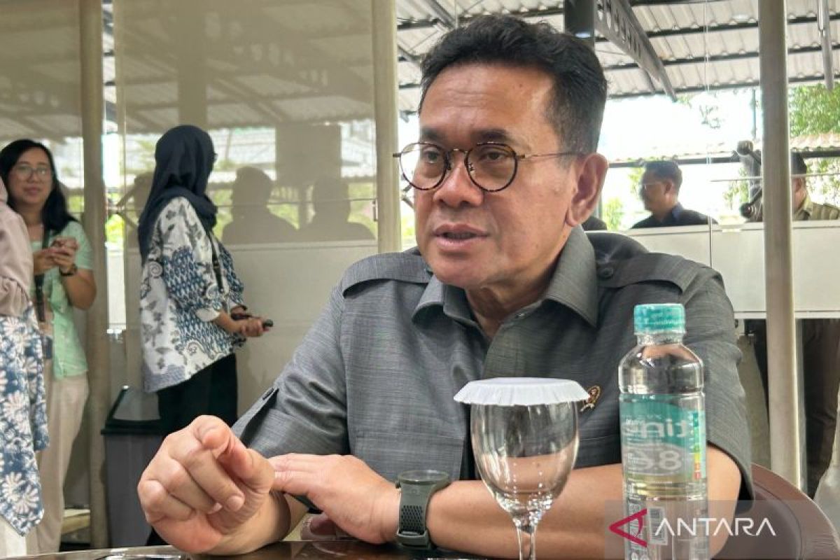 Trade Minister: Indonesia Seeks Logistics Solutions for Exports to EU at WTO Forum