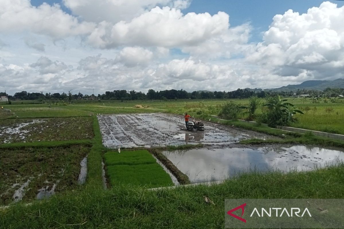 Bantul DKPP prepares water pumps to anticipate dry season in agriculture sector