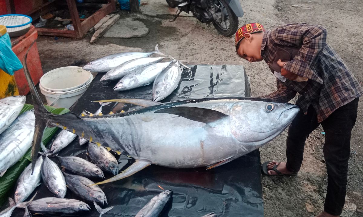 Eid al-Fitr Sees Fresh Seawater Fish Prices Soar in Aceh