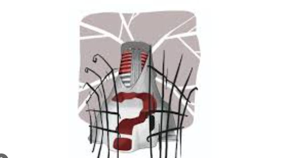 Parliament: Transition to House Arrest Must Be Selective