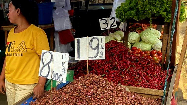US-Israel Aggression Triggers Soaring Fertiliser Prices, Deli Serdang Farmers in Distress