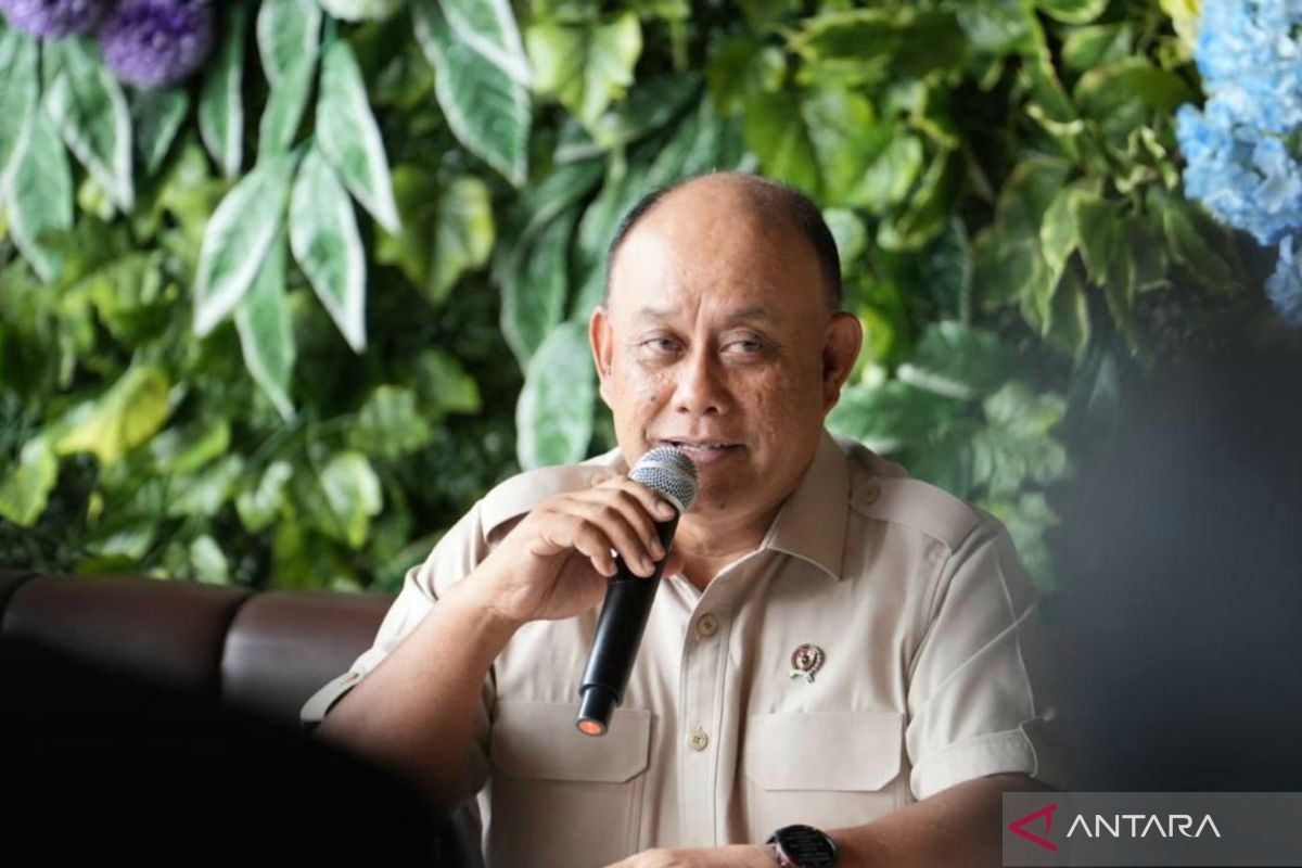 Free meals distribution adjusted to school schedules: BGN chief