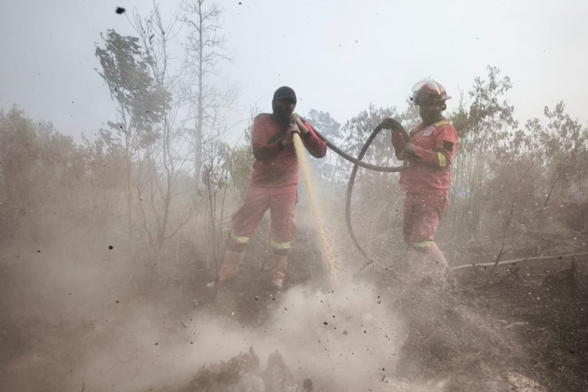Forestry Ministry Intensifies Firefighting Efforts for Forest and Land Fires in Several Riau Regions