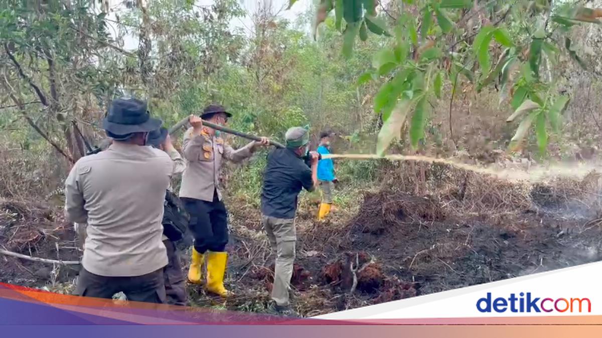 Riau Police Chief, Accompanied by Rocky Gerung, Inspects Forest and Land Fires in Dumai: Here's the Condition