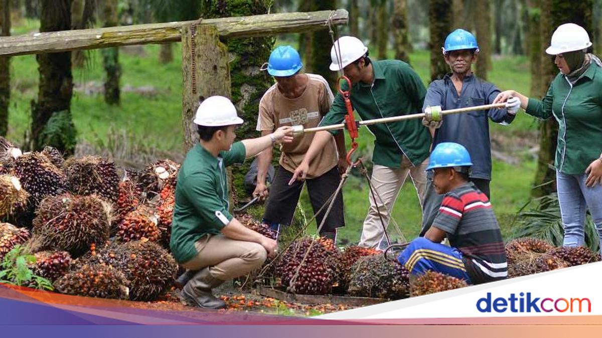 Astra Agro Lestari Ensures Support for Sustainable Development
