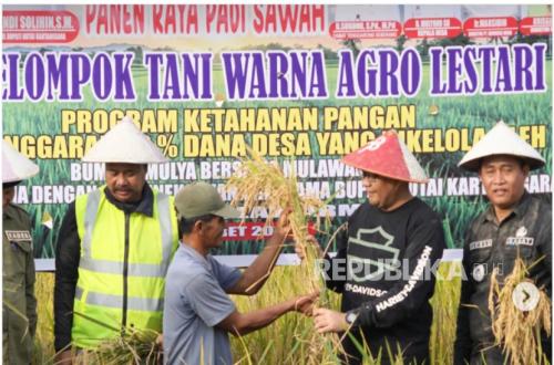Extensive Rice Harvest Ensures Food Stock Security, Ministry of Agriculture Confirms