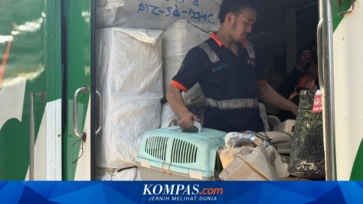 KAI Logistik Records 13,435 Pet Shipments During Eid Homecoming