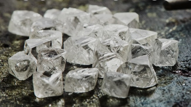 Rio Tinto Closes Diamond Business: The Story of Treasure in an Ant's Nest Comes to an End