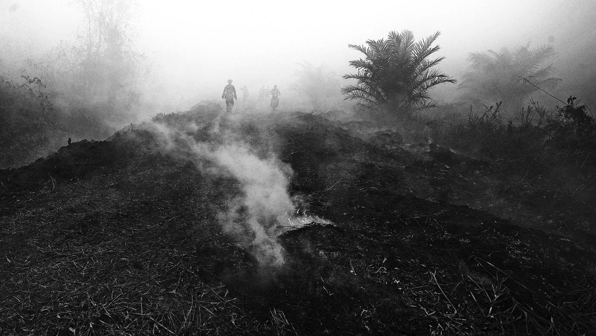 213 Hotspots Detected in Riau