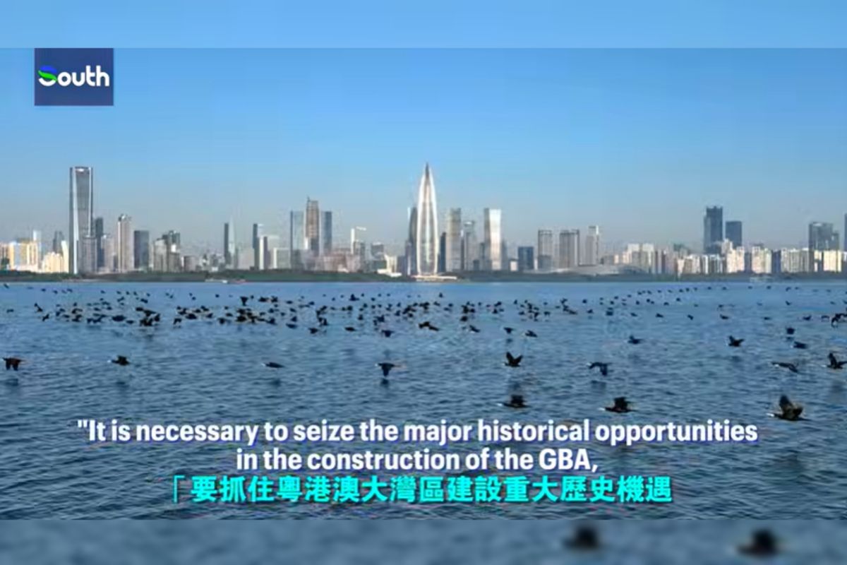 GBA marks a decade in China's Government Work Report, with economic growth topping 60%