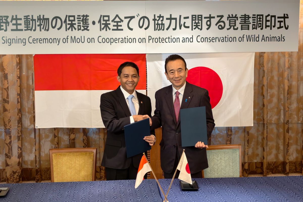 Indonesia-Japan Strengthen Green Diplomacy through Komodo Conservation Cooperation