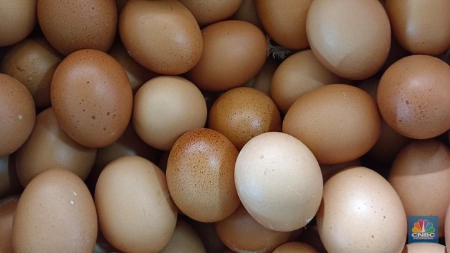 Trump Busy with War, US Residents Puzzled by Egg Prices