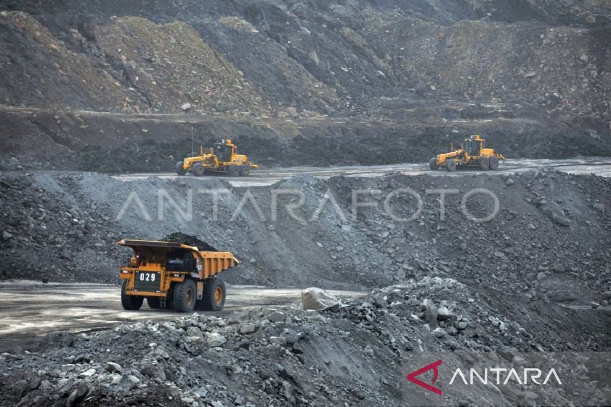 Economist deems current moment ideal for implementing coal export duty