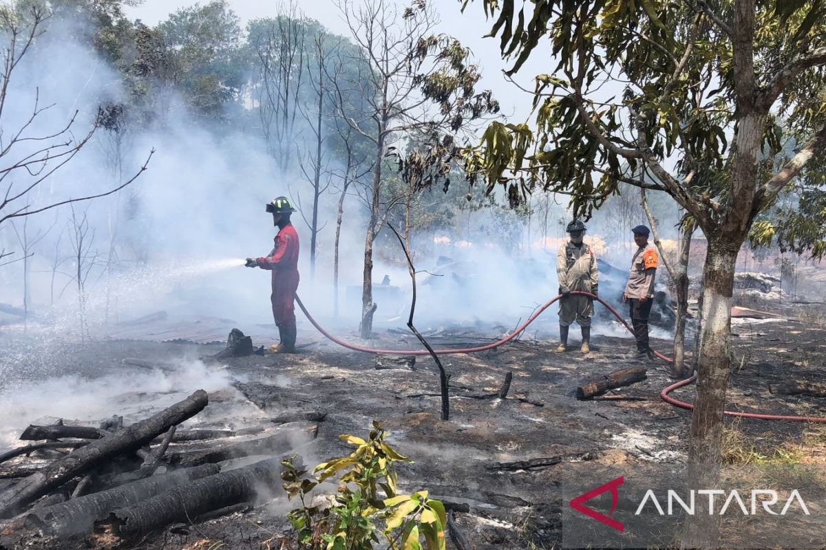 Tanjungpinang City Government on Alert for Forest and Land Fires