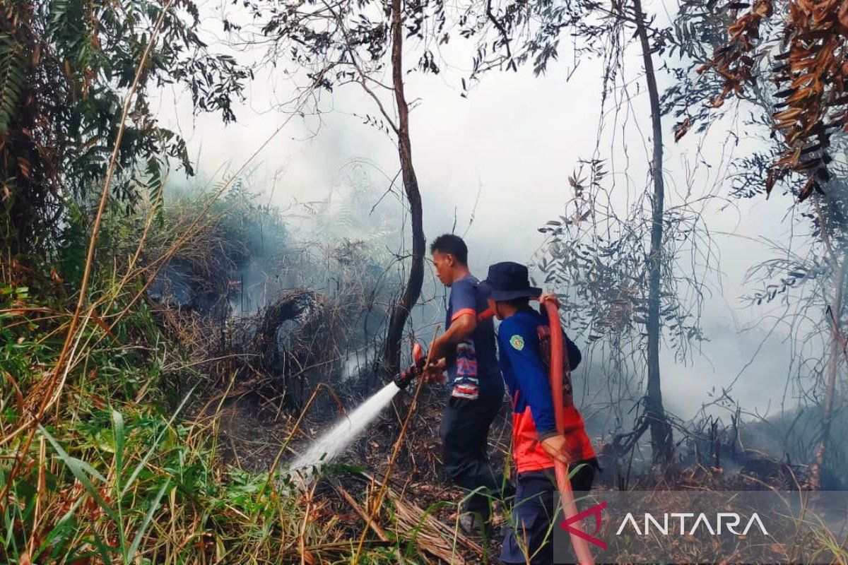 BMKG Warns of Potential Forest and Land Fires Due to Numerous Hotspots in East Kalimantan