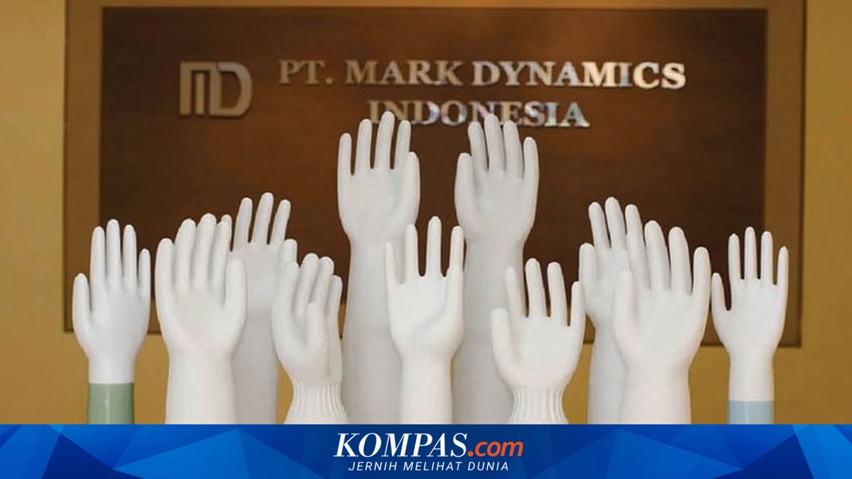 Mark Dynamics (MARK) Maintains Profits in 2025 Amid Industry Normalisation