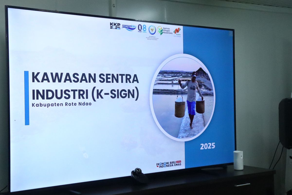 Construction of Salt Industry Special Economic Zone in Rote to be Completed in June 2026