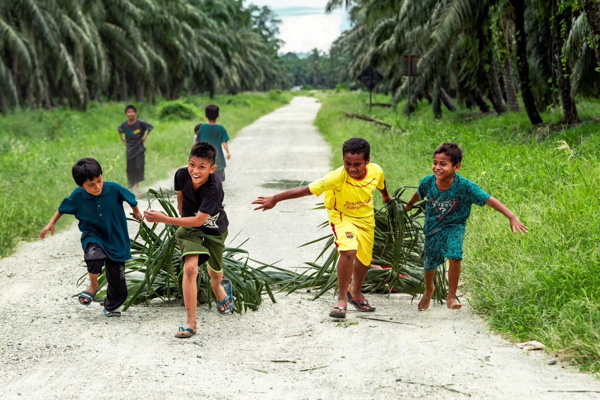 Human Resource Development through Educational Scholarships Becomes Key to Palm Oil Industry Sustainability