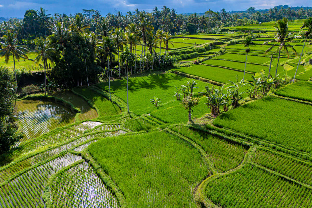 Tourism Minister Impressed with Quality Experiences on Offer in Bali
