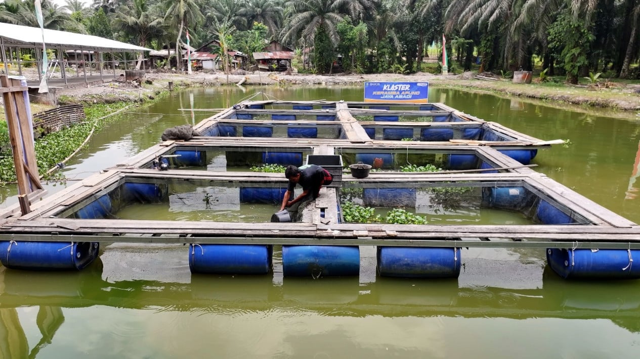 Continuing to Thrive, BRI Empowerment Boosts Economy of Empang Baru Village