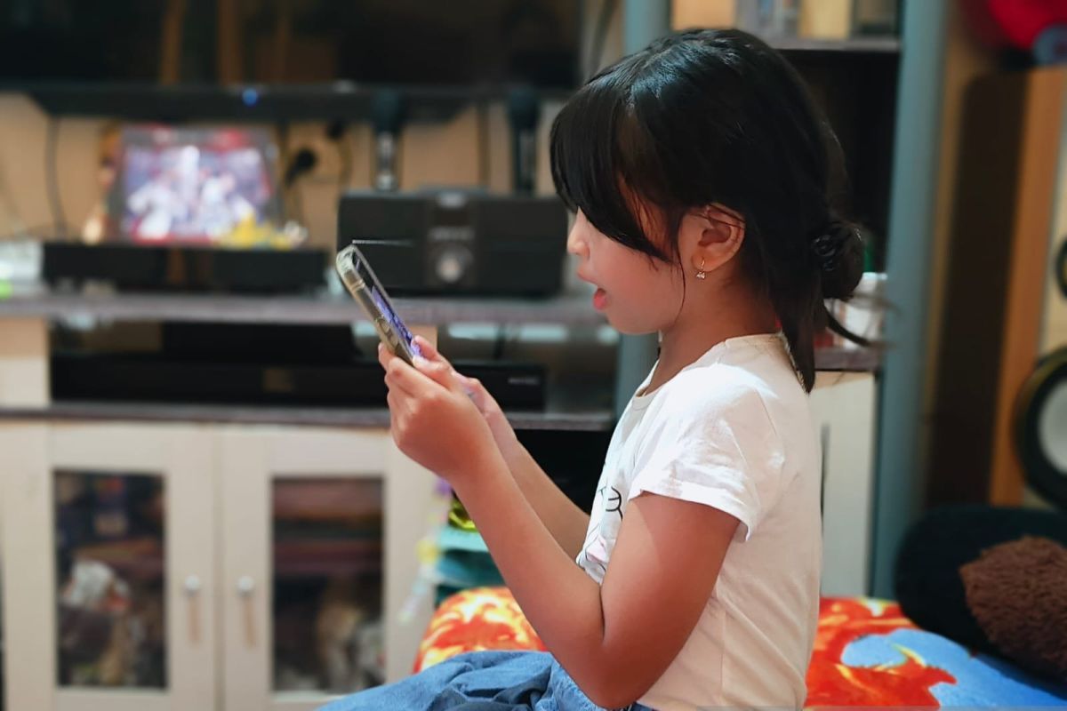Palangka Raya City Government Supports Social Media Restrictions for Children