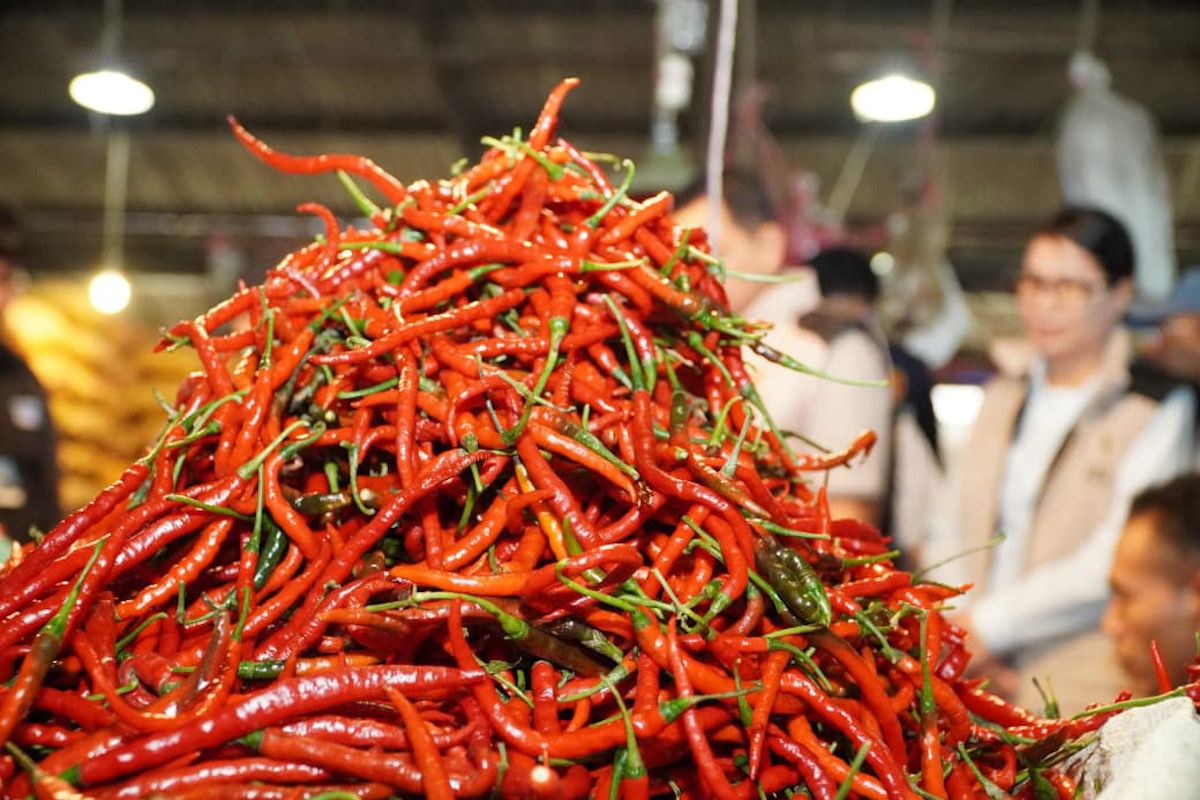 Bapanas: Chilli prices drop uniformly from wholesale markets to retail markets