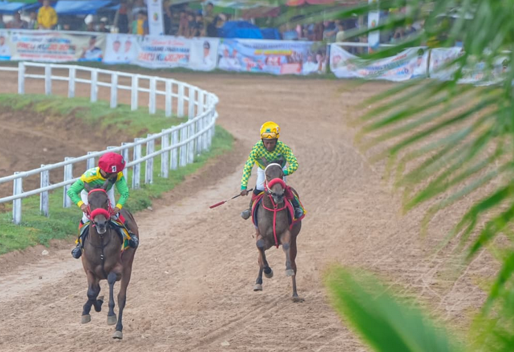 Padang Pariaman Horse Race 2026 Boosts Tourism and Local Economy