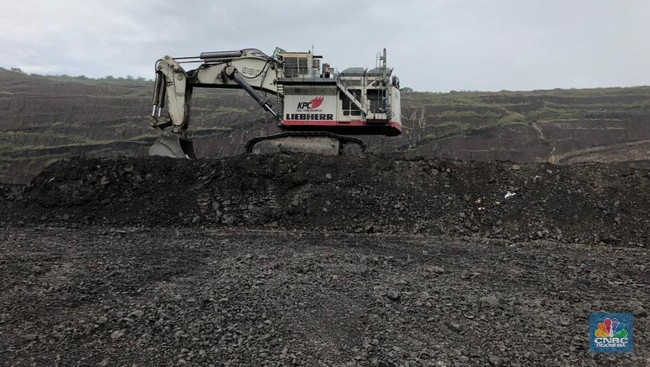 Five Individuals Dominate Indonesia's Coal Sector, Wealth Not Diminished