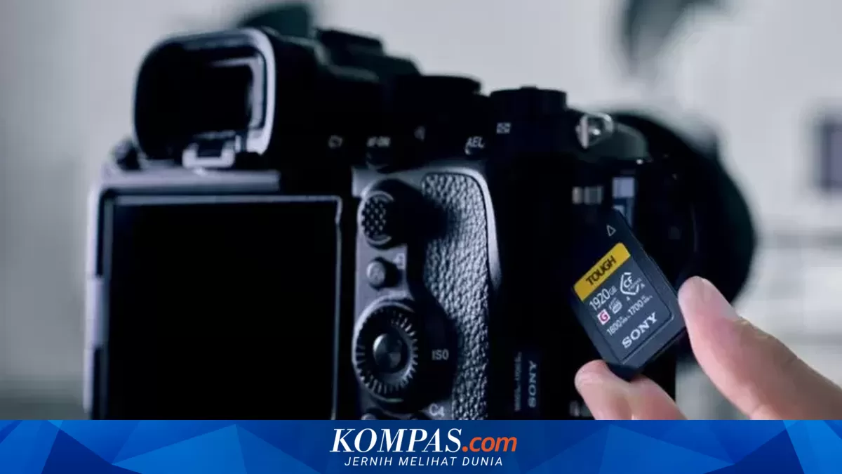 Sony to Halt Sales of SD Cards and CFexpress Due to AI