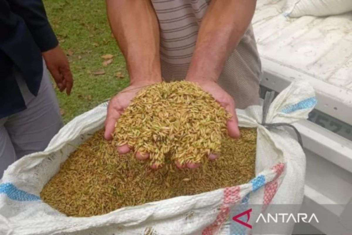 Bulog and BRIN expand technological partnership for food security