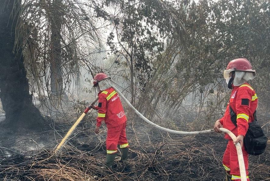 South Kalimantan Enhances Land and Forest Fire Mitigation to Face El Niño