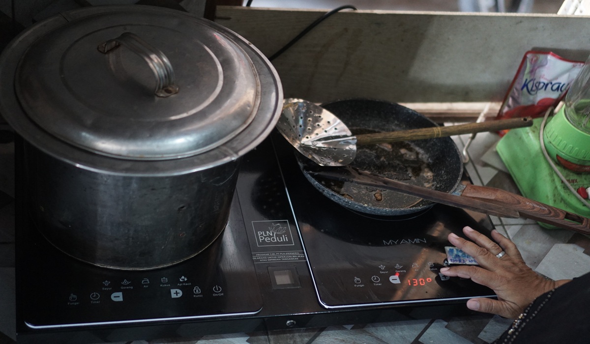 Electric Stoves and Vehicles Could Be Key to Facing Energy Uncertainty