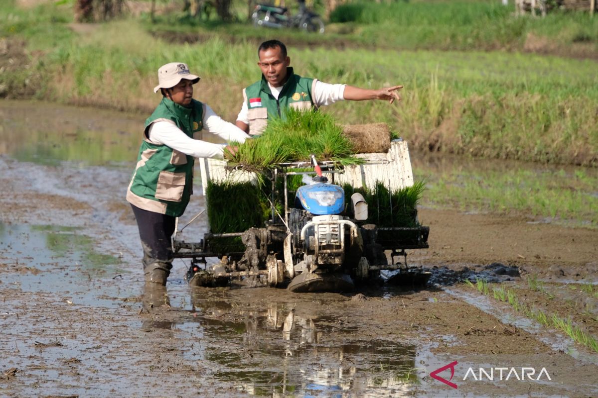 BRIN highlights adaptation of agricultural technology to address climate change
