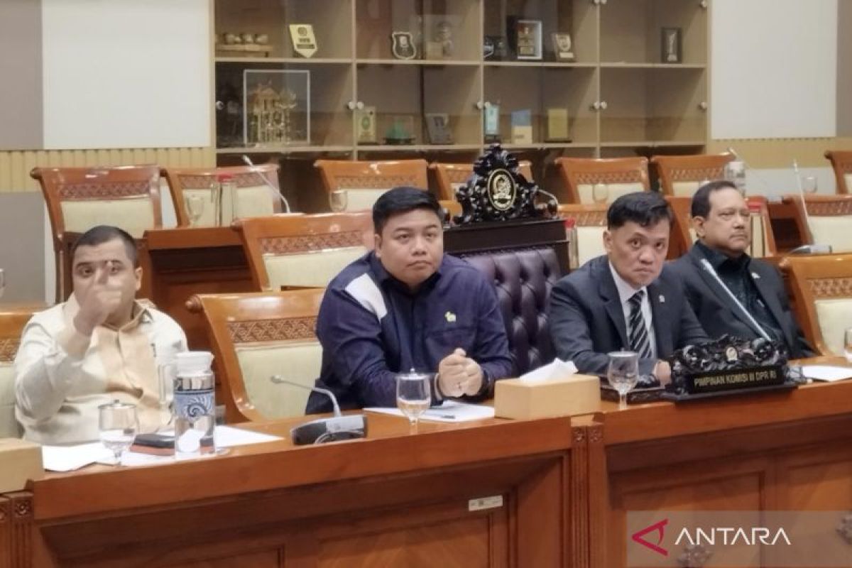 MP states Prabowo is highly supportive of creative economy in response to Amsal case