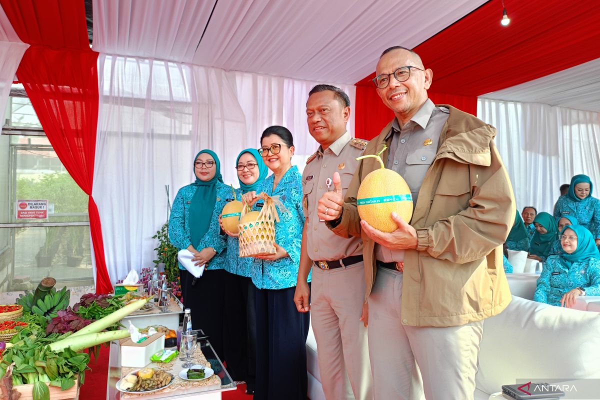 DKI Intensifies Urban Agriculture through Major Harvest at 807 Locations