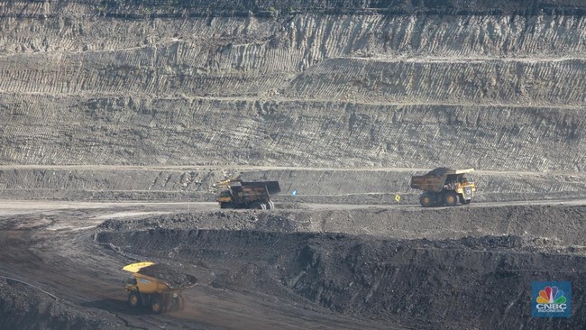 Government Prepares Measured Relaxation for Coal-Nickel, This is the Purpose