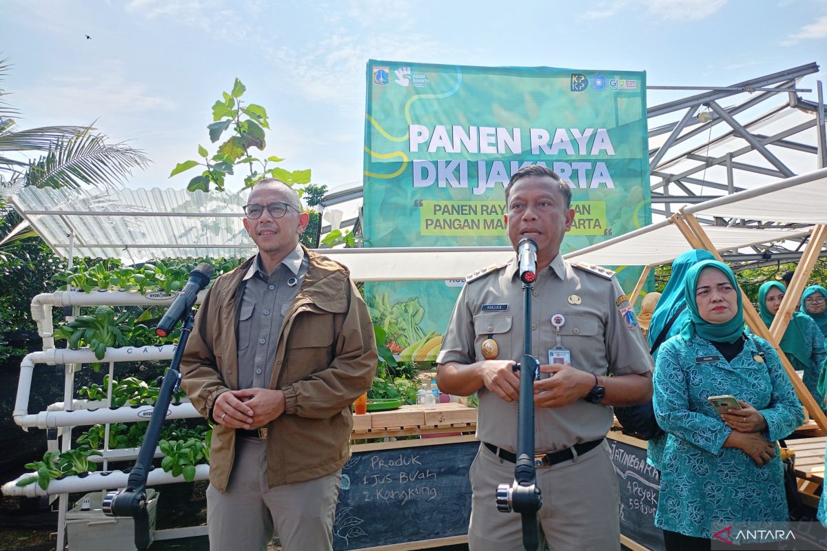 DKI Targets 5% of Food Needs through Urban Farming by 2030
