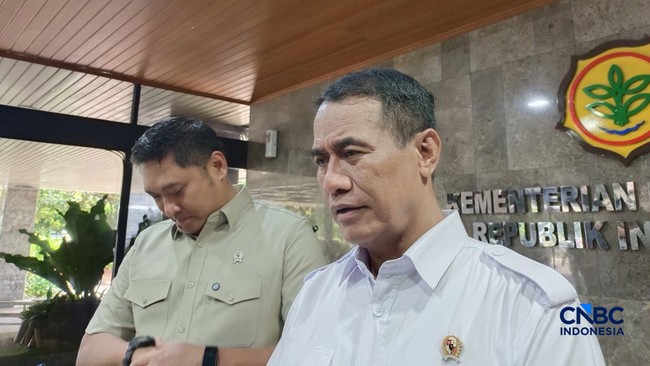 Amran Assures Rice Supply Remains Secure Despite Godzilla El Niño Hitting Indonesia, Here's Why