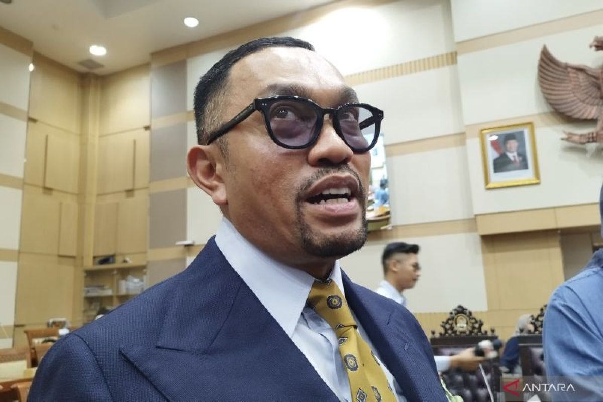 Sahroni supports Attorney General's Office in targeting actors in mining cases like Samin Tan