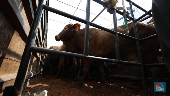 Impact of Iran War Erodes ID FOOD's Imported Meat Business Margins
