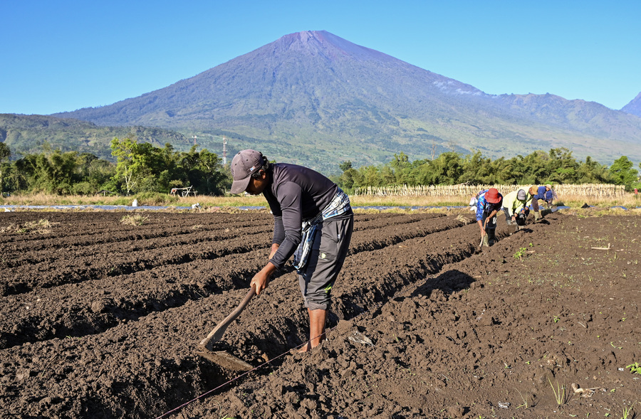 Agriculture Minister Assures Indonesia's Food Security Ahead of Approaching Godzilla El Niño