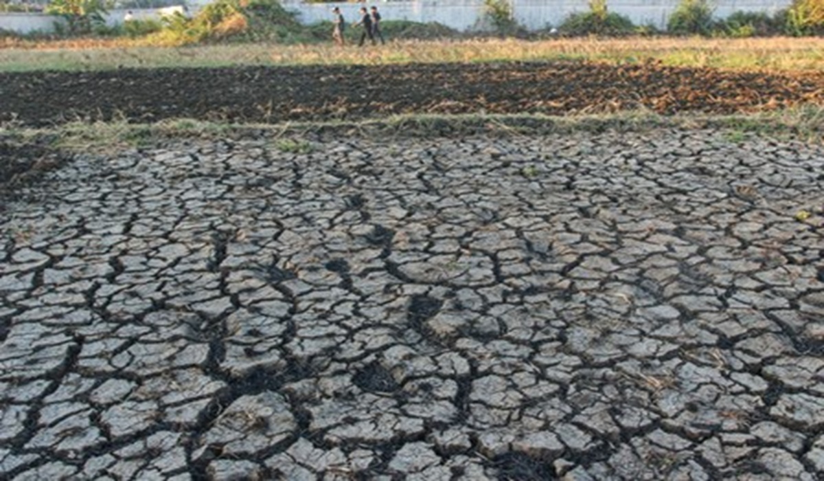 Transition Season Expected to Begin in April 2026, Dry Season to Be Drier
