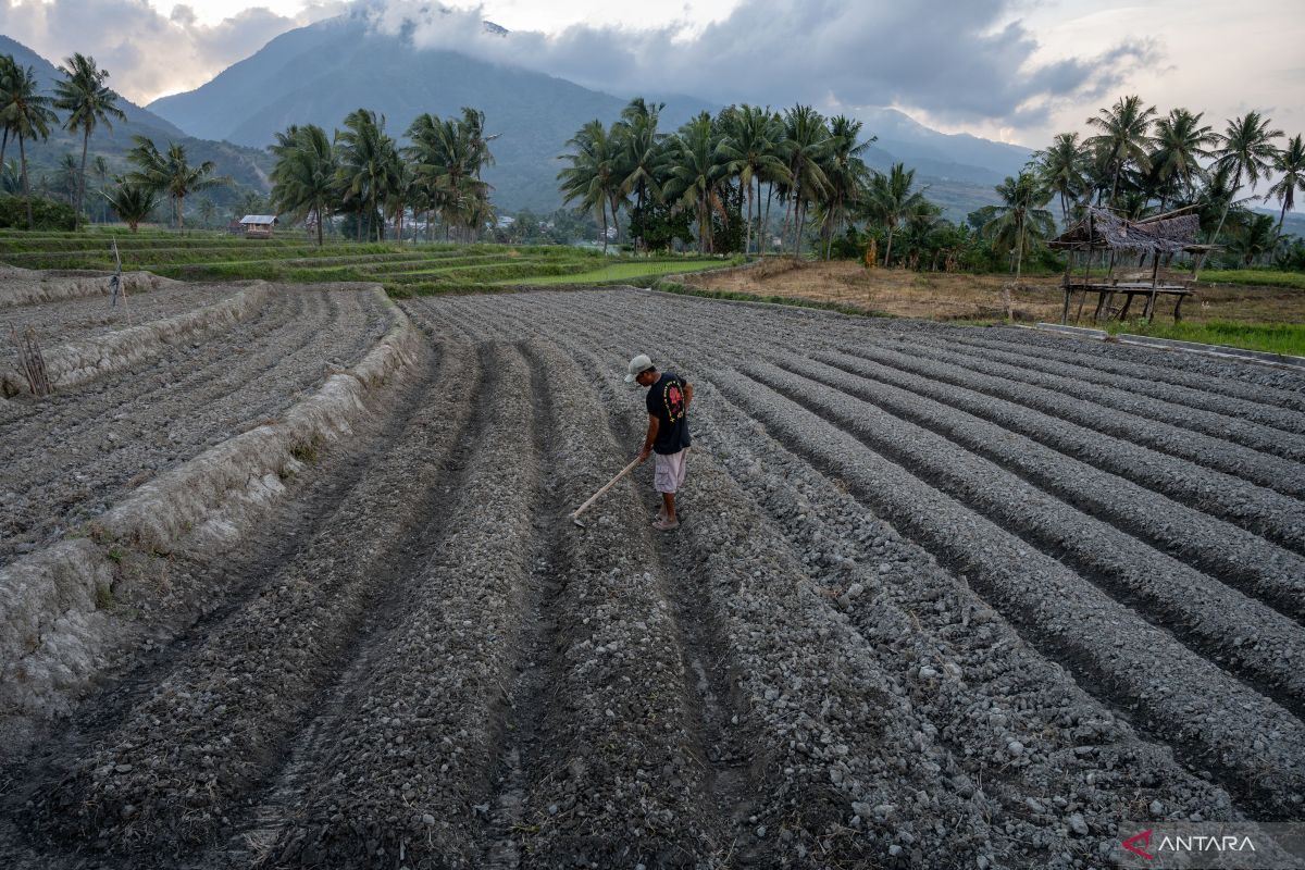 Bapanas highlights hidden hunger phenomenon despite no natural disasters