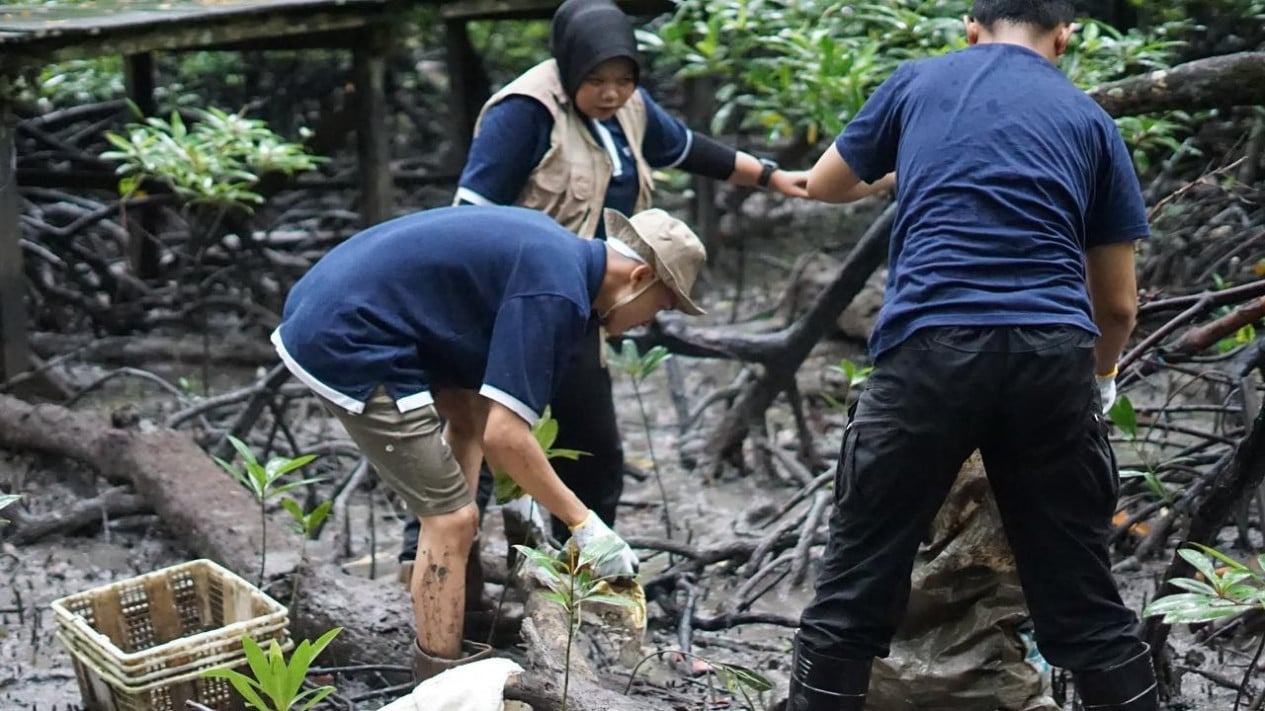 Promoting Natural Ecosystem Recovery in Tarakan, Telkom Partners with AYS Indonesia