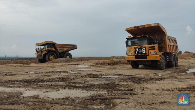 Bumi Resources (BUMI) Reports Profit of US$81 Million for 2025